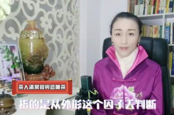 佛茶小姐姐,探寻禅意生活与茶文化的完美融合